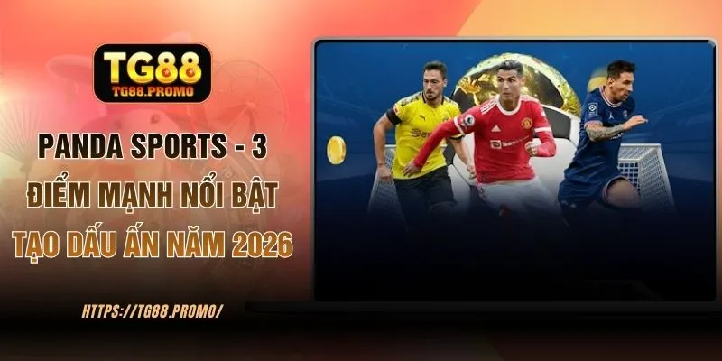 Panda Sports - 3 Điểm Mạnh Nổi Bật Tạo Dấu Ấn Tại Web TG88