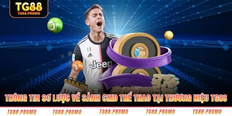 Thông tin sơ lược về sảnh CMD thể thao tại thương hiệu TG88